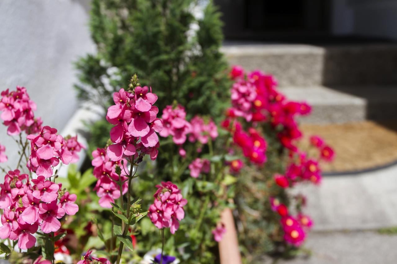 Woodstock Guest House Penzance Bagian luar foto